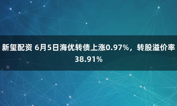 新玺配资 6月5日海优转债上涨0.97%，转股溢价率38.91%