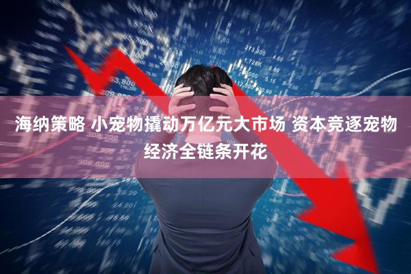 海纳策略 小宠物撬动万亿元大市场 资本竞逐宠物经济全链条开花