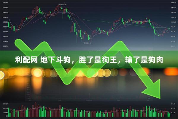 利配网 地下斗狗，胜了是狗王，输了是狗肉