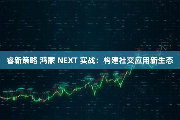 睿新策略 鸿蒙 NEXT 实战：构建社交应用新生态