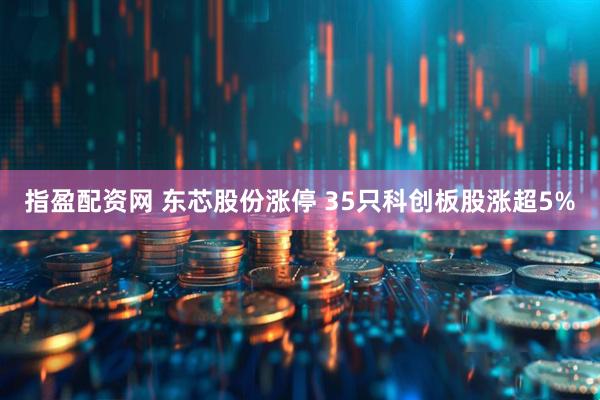 指盈配资网 东芯股份涨停 35只科创板股涨超5%