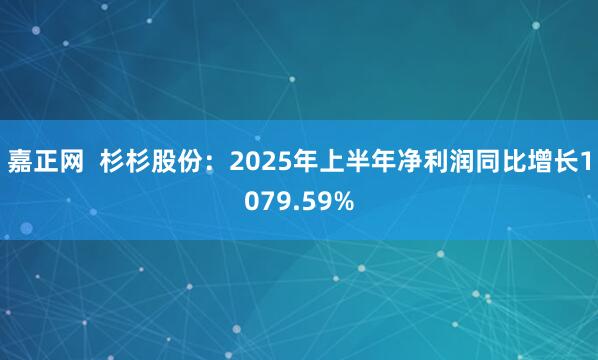 嘉正网  杉杉股份：2025年上半年净利润同比增长1079.59%