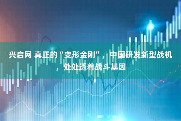 兴启网 真正的“变形金刚”，中国研发新型战机，处处透着战斗基因